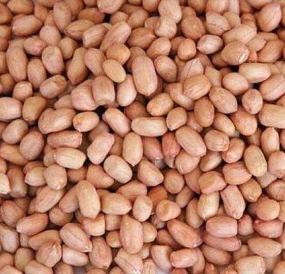 Peanut